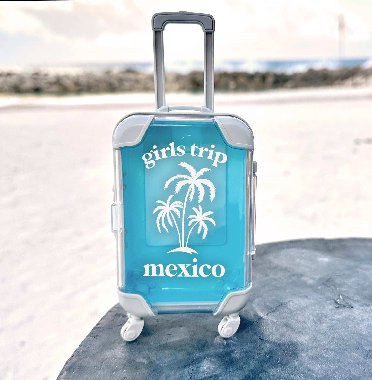 mexico girls trip travel mini suitcase party favors travel kit birthday girls destination travel kit birthday girls trip survival kit