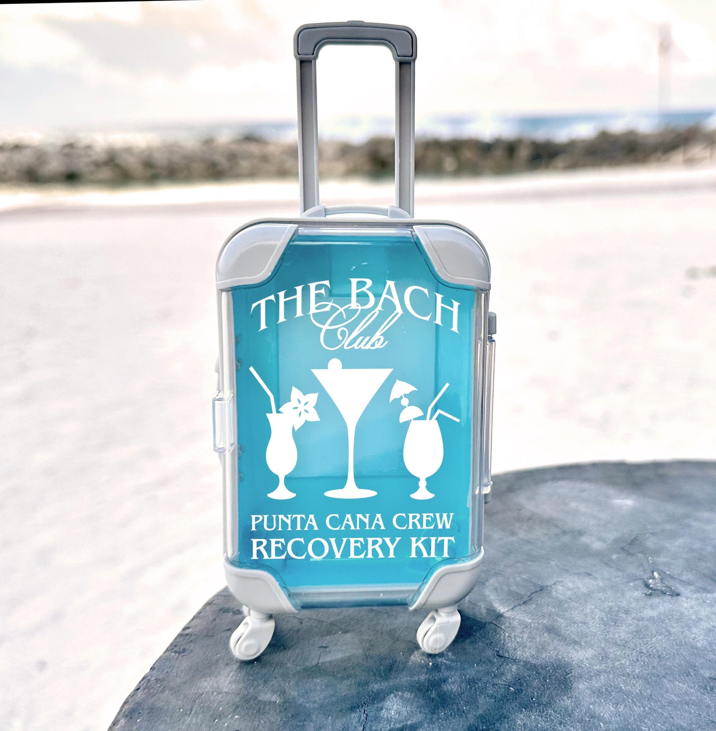 the bach club bachelorette party mini suitcase party favors destination bachelorette parties travel kits recovery kits DIY cases