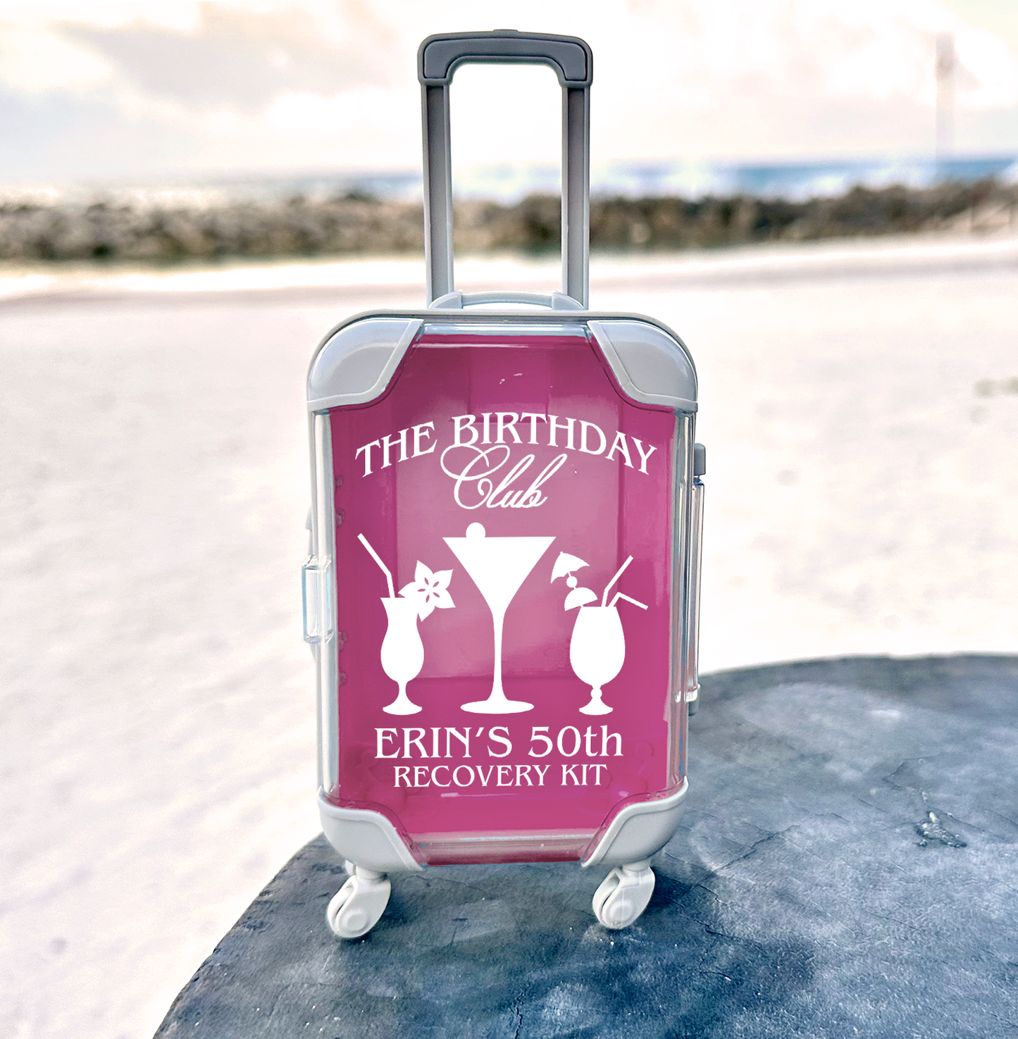 the birthday club hangover kit bachelorette party favors social club mini suitcase recovery kit party favors 30th 40th 50th birthday trips